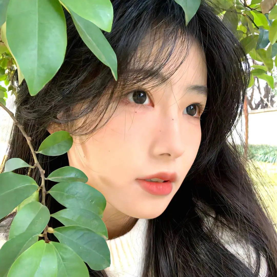 地窖惊魂